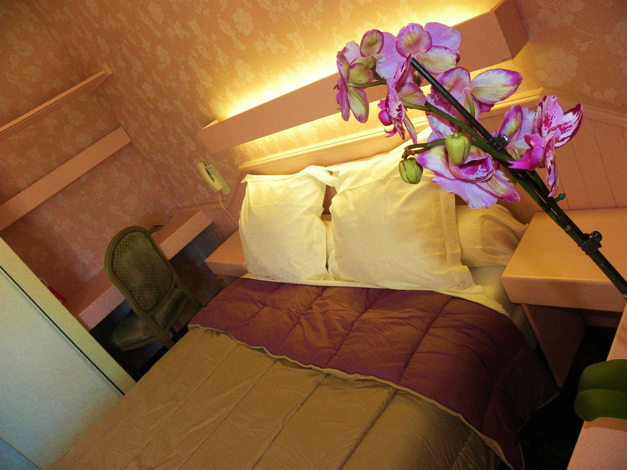 Hotel Ursula Cambo-les-Bains Kültér fotó